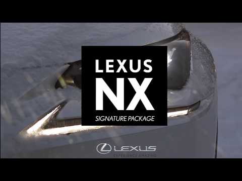 lease-the-2020-lexus-nx-signature-package-for-only-$454-monthly-with-$0-down!