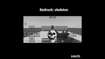 Java vs bedrock skeleton 🔥🗿☠️ #minecraft #viral #shortvideos #shorts #trending #minecraft #viral