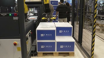 PackExpo Chicago 2024 - Random Box Palletizing and Depalletizing Solution