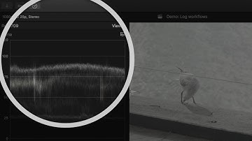 Chromatic: Working with Log footage in Final Cut Pro X, best workflows and tips