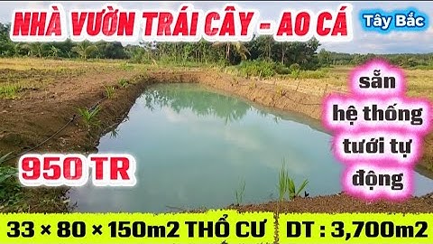 S:370🏡NHà vườn trái cây đủ loại -AO CÁ - hệ thống tưới tự động - 33×80 sẵn 150m2 TCƯ .DT:3700m2 