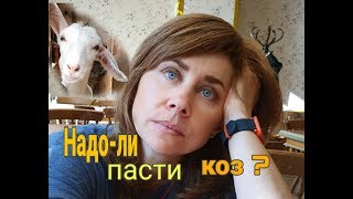 Безвыпасное содердание коз//Возможно!?