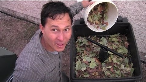 Toter Trash Can Continuous Flow Compost Bin Review