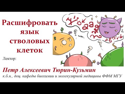 П.А. Тюрин-Кузьмин - Расшифровать язык стволовых клеток П.А. Тюрин-Кузьмин - Расшифровать язык стволовых клеток