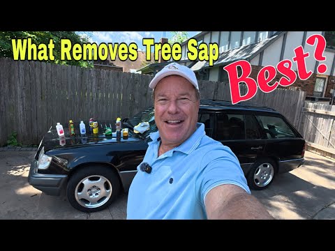 8 Products Tested.