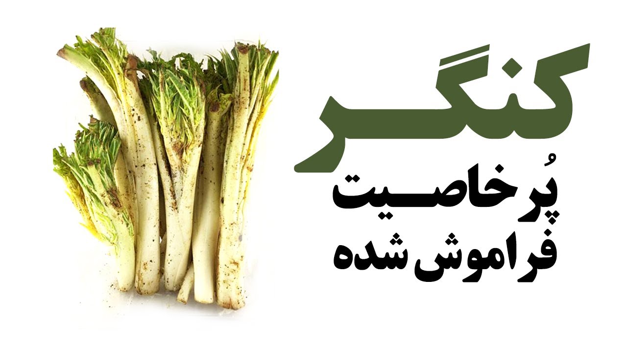 کنگر معجزه ی طبیعت