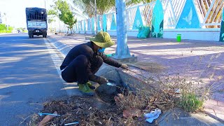 Completely Transform Sewers After 120 Minutes Using Rudimentary Tools