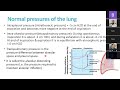 D HEND YEHIA PHYSIOLOGY OF BREATHING AND M VENTILATION 1.mp4