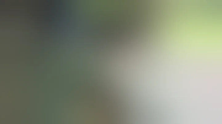 DSA RPD carbine 100rds