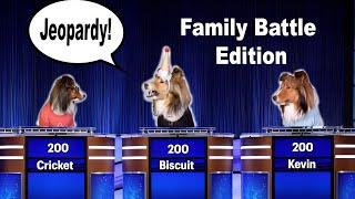 Jeopardy (Jeopawrdy?): Ultimate Family Battle Edition!  on Cricket 'the sheltie' Chronicles e344