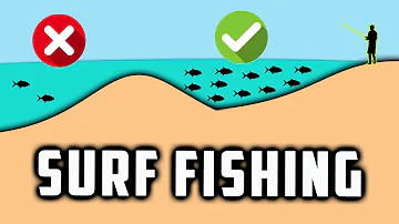 How to Catch Fish in MINUTES at the Beach