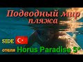 Подводный мир пляжа Horus Paradise в Сиде Турция