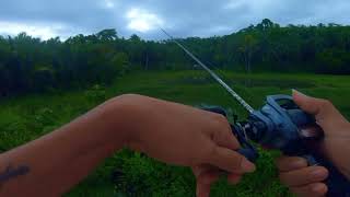 Soft Frog lure fishing for snakehead  screenshot 4