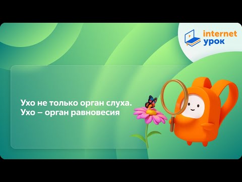 Ухо человека видеоурок