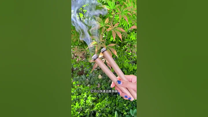 比蚊香 蚊香液还好用的驱蚊艾条 - 天天要闻