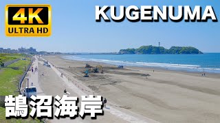 湘南鵠沼海岸  緑が青空に映える季節になってきた｜Shonan Kugenuma Beach