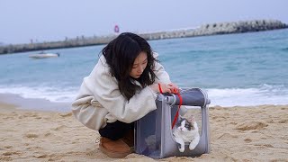 The cat that saw the ocean for the first time! [Healing Trip ep.3] by 김쫀떡 66,234 views 2 months ago 16 minutes