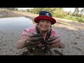 Catching Crab Snails in the Swamp 🐌 Lộc TiVi Đi Bắt Cua Ốc 😂 Top fun
