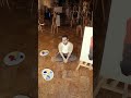 AI Tools in Filmmaking and Art
