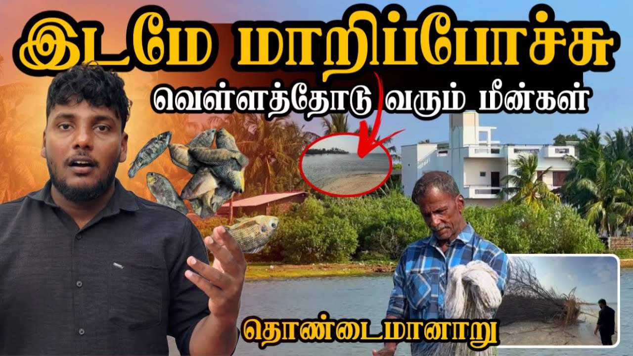 இடமே மாறிப்போச்சு! | வெள்ளத்தோடு வரும் மீன்கள் | Jaffna Floods | Travel Vlog in Tamil | Pavaneesan