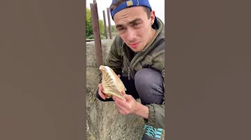 Я нашёл огромную ракушку в заброшенном колодце!