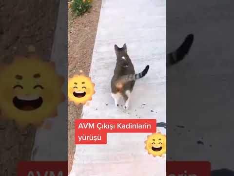 Avm Çıkışı Kadınlar