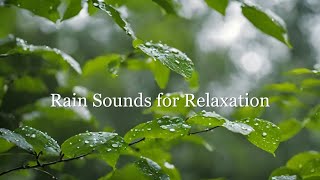 Ambient Sounds for Relaxation | Captivating Rain Sounds and Ambient Tunes