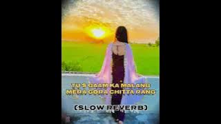 tu s gaam ka malang tera gora chita rang HR ///song #slow #slowreverb #feelthemusic