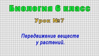 Биология 6 класс (Урок№7 - Передвижение веществ у растений.)