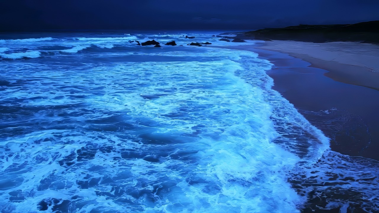 Fall asleep in less than 3 minutes • Melatonin release • Medicine for anxiety disorders