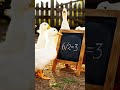 AI Math Education #shorts #shortvideo #2026