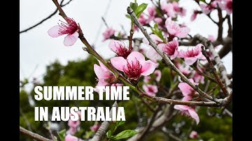 Relaxing music with #BC CAMBO