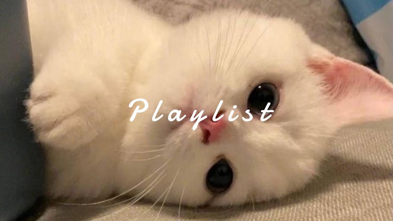 𝐏𝐥𝐚𝐲𝐥𝐢𝐬𝐭 주말만 기다리다 심장 두근해진 느좋 플리 🤍 | chill r&b · feel good