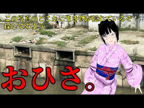 お久しぶりです。生き物の話をしましょう。