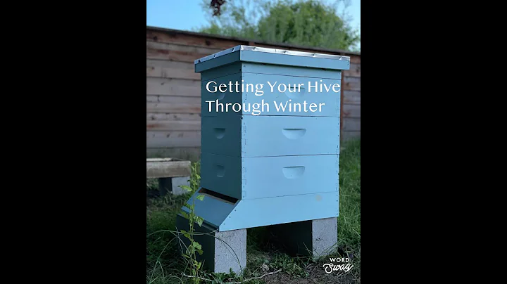 Getting Your Hive Through Winter