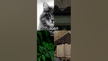 القرآن الكريم سورة التغابن الآية [11] بصوت الشيخ خالد الجليل ✨♥️🎧