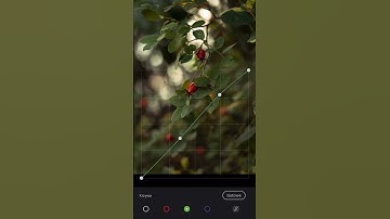 How To The Use curve Lightroom mobile tutorial | cinematic curve in Lightroom mobile tutorial