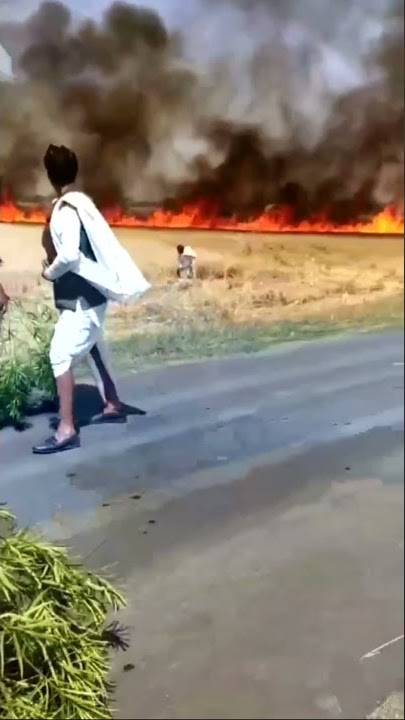 Wheat fire#genhu ke khet aag se jal gye##Government should help such farmers.##please share video##