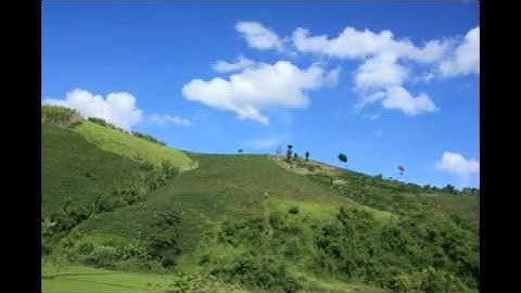 Núi rừng Tây Nguyên