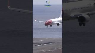 Strong Wind Landing Norwegian Boeing 737 at Madeira Airport