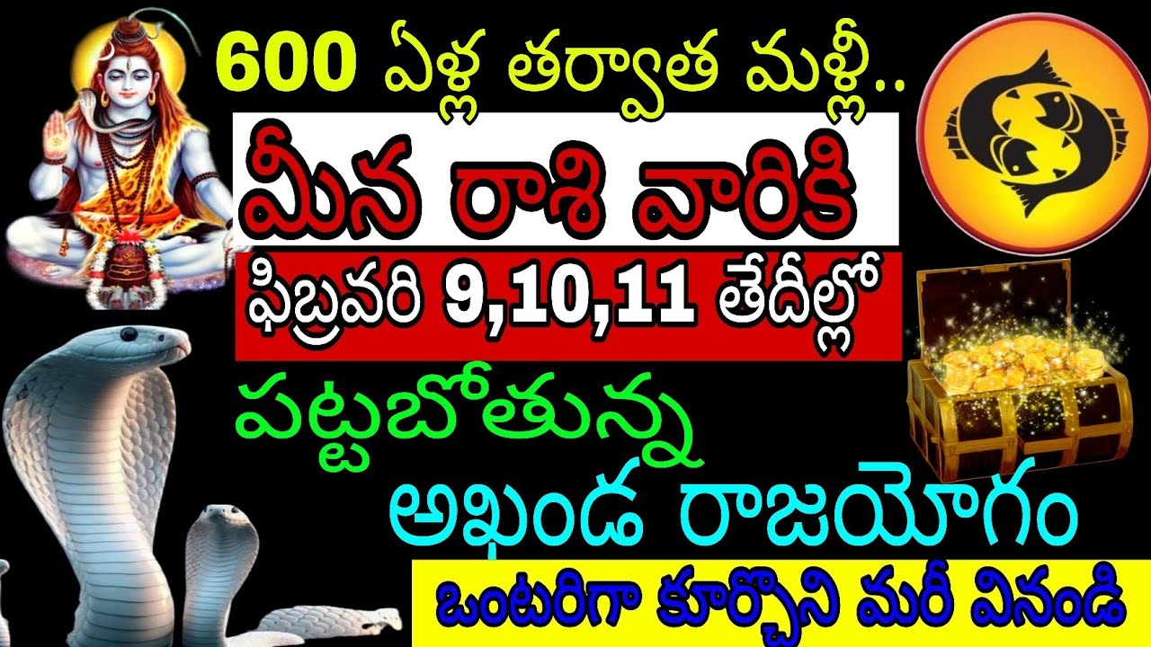 600 ఏళ్ల తర్వాత మళ్లీ మీనా రాశి వారికి ఫిబ్రవరి 9 10 11 తేదీల్లో పట్టబోతున్న అఖండ రాజయోగం ఒంటరిగా