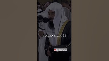 #تلاوة_رائعة #تلاوة_خاشعة #تلاوة_هادئة #تجويد #أنس_العمادي #العمادي #البحرين #الجزائر #مصر #السعودية
