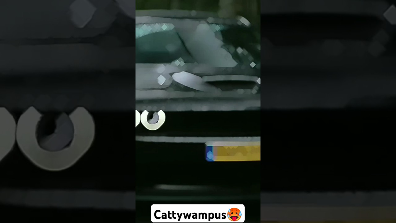 Dodge x cattywampus🥵     akhiyaan naal goli maar diyan 😚😘🥰😍 