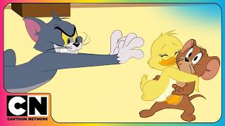 tom jerry ducklings donuts mayhem cartoon network