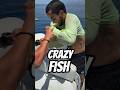 Crazy Fish CATCH