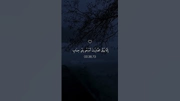 تلاوة هادئة تأخذك إلى عالم من الهدوء والسكينة بصوت الشيخ ماهر المعيقلي ♡ #ماهر_المعيقلي​ #قرآن 