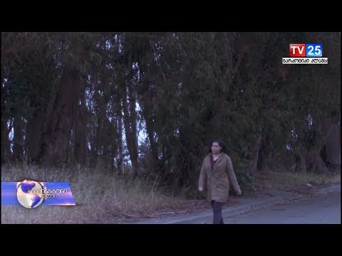 ადრეული ქორწინება ადამიანის უფლებების დარღვევაა