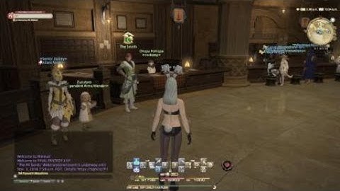 Watching Hot Bot Action