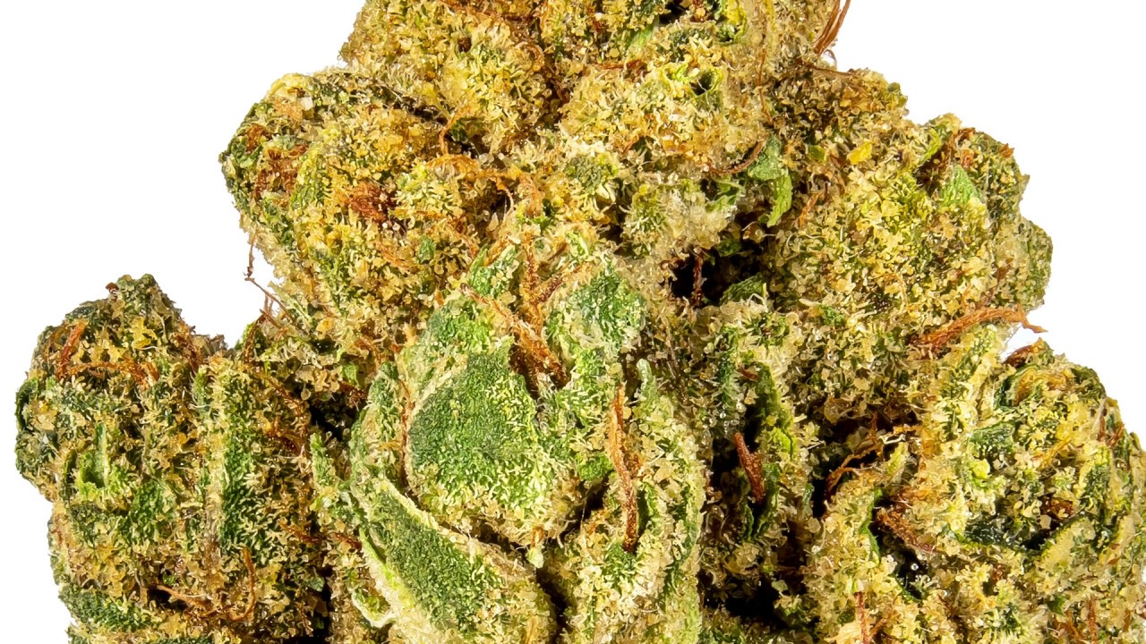Khalifa Kush | Strain Review