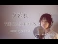 夕暮れ / THE BLUE HEARTS cover by たのうた